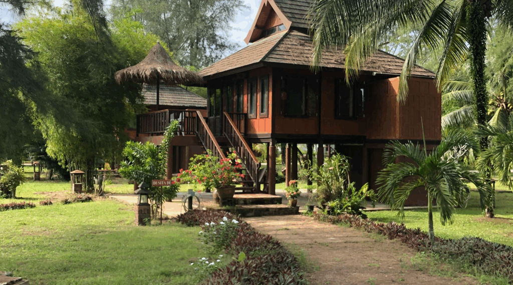 pexels richhunterrice 2416472 2