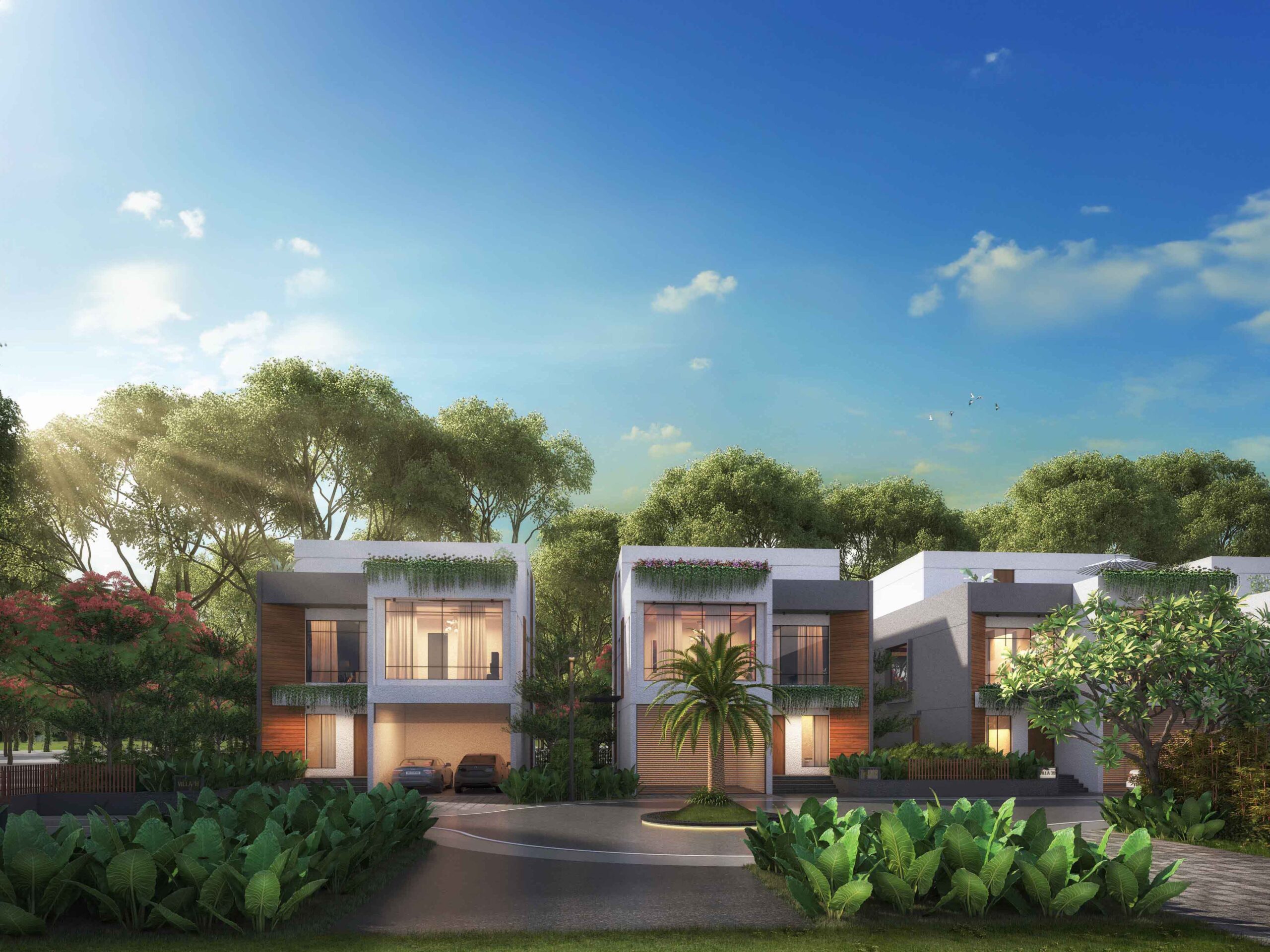 1512 FOREST Trail Rivolo Cam 014 sky added scaled