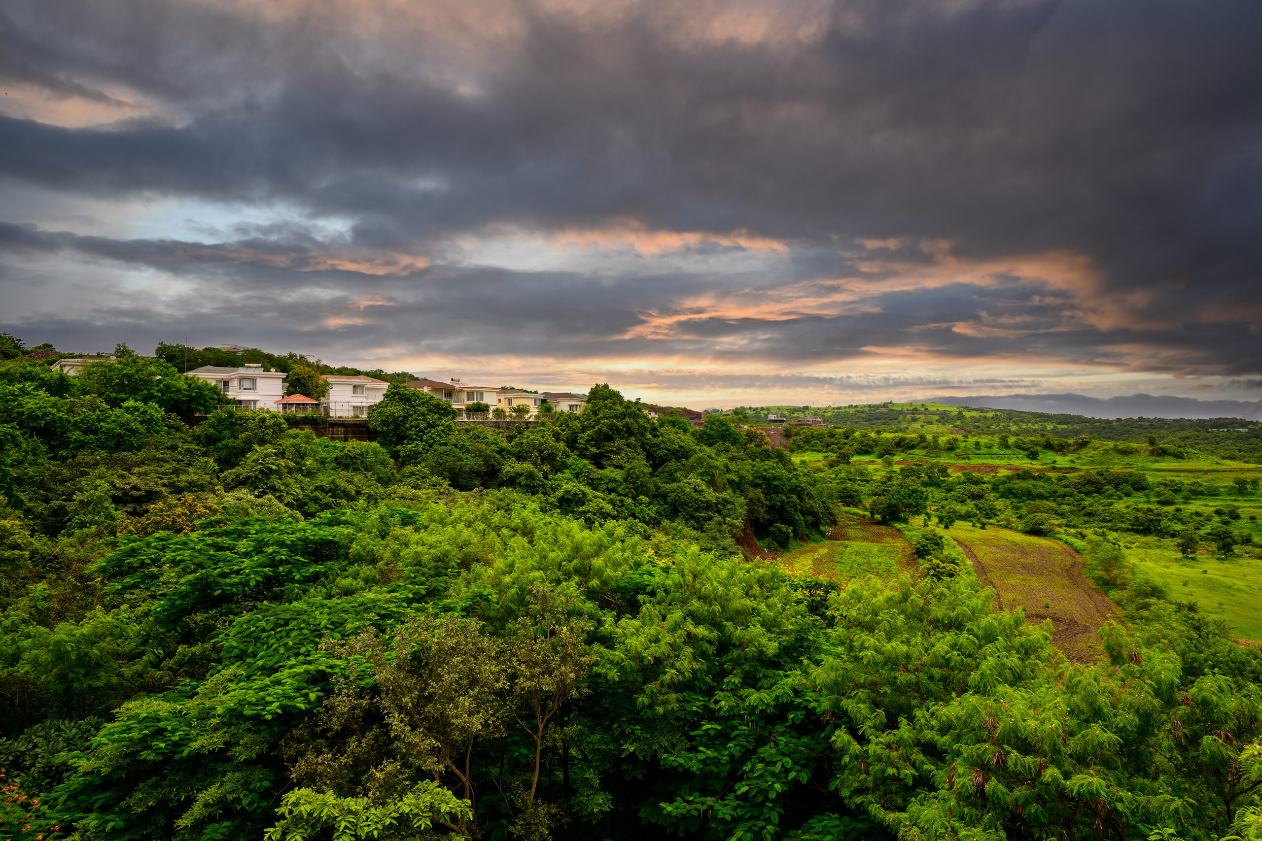 DSC5590 NEF 1 scaled