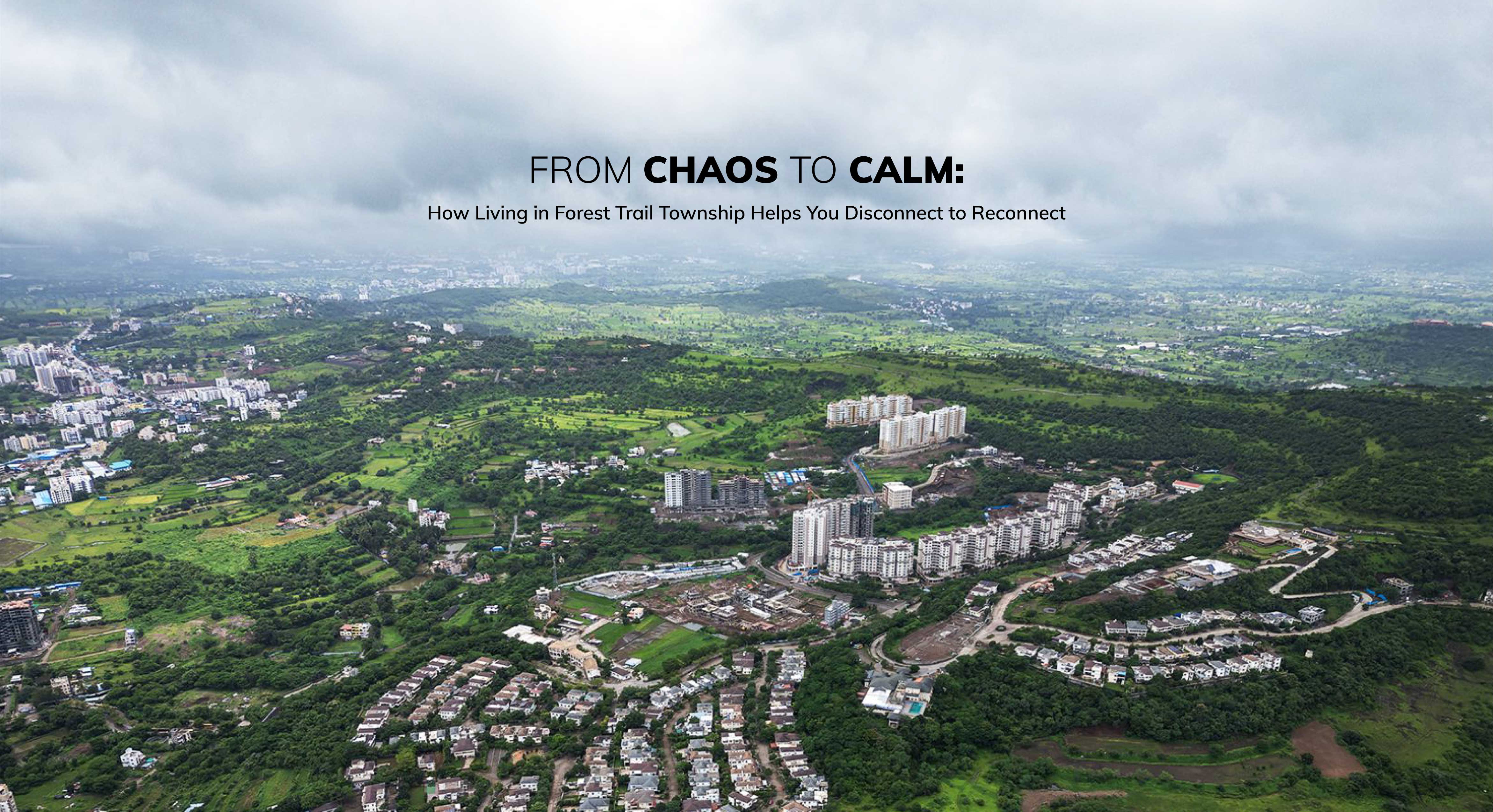 From Chaos to Calm How Living in Forest Trails Helps You Disconnect to Reconnect