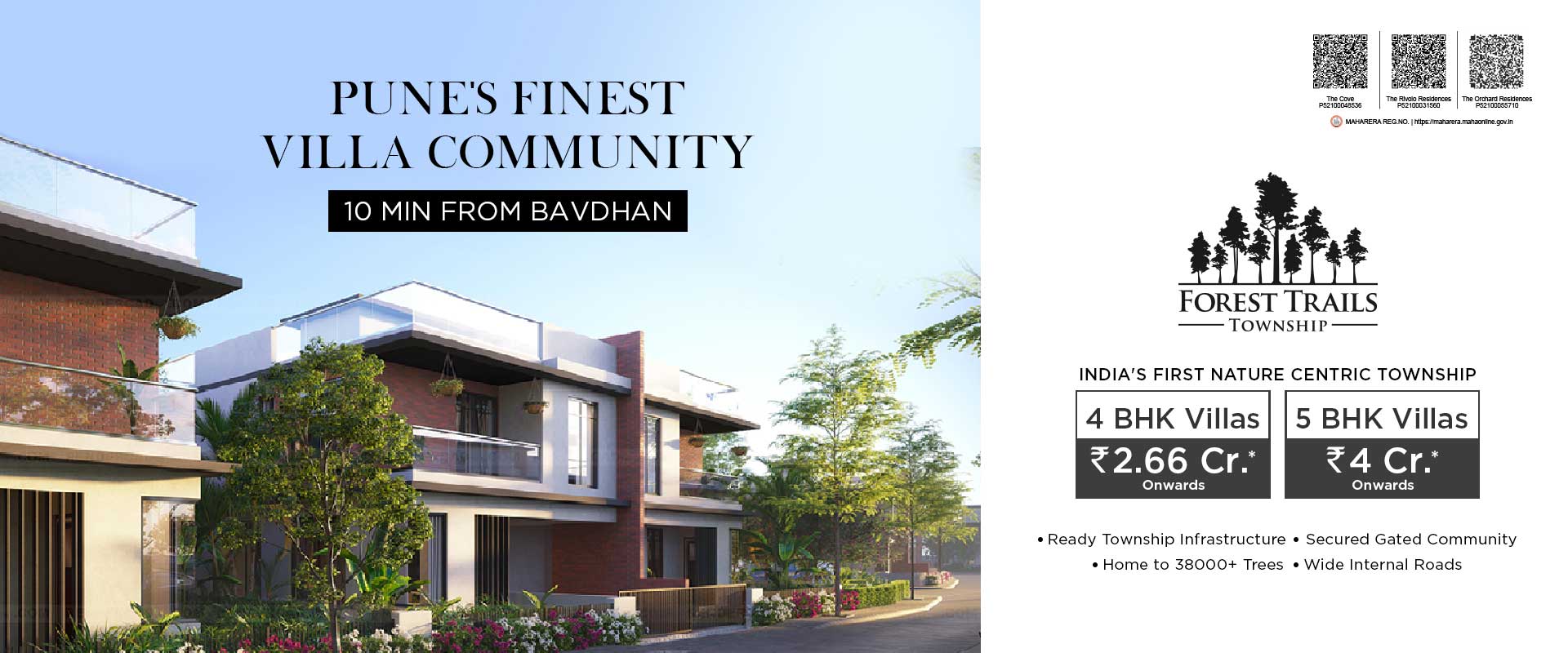 Forest Trails Desktop