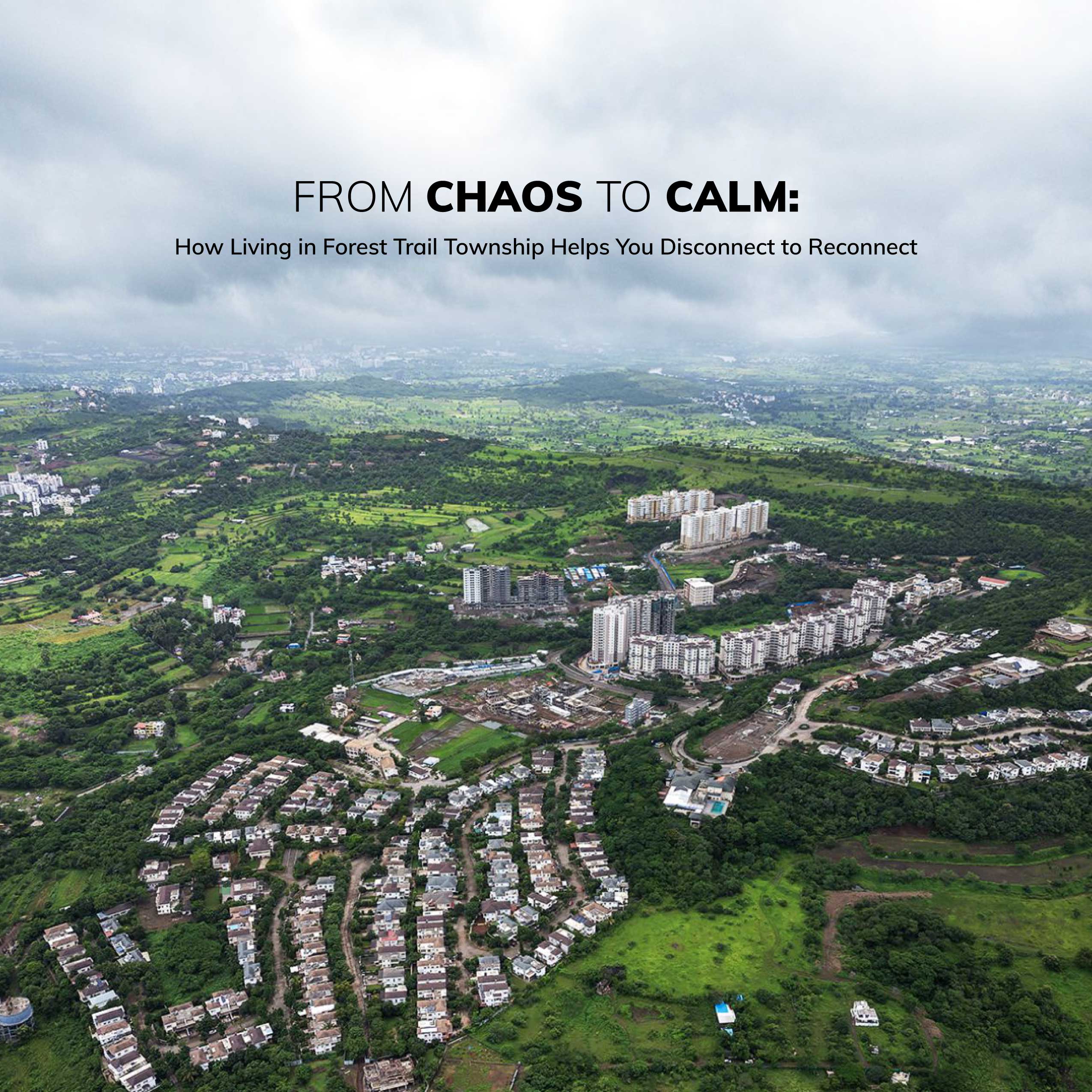 From Chaos to Calm: How Living in Forest Trails Helps You Disconnect to Reconnect