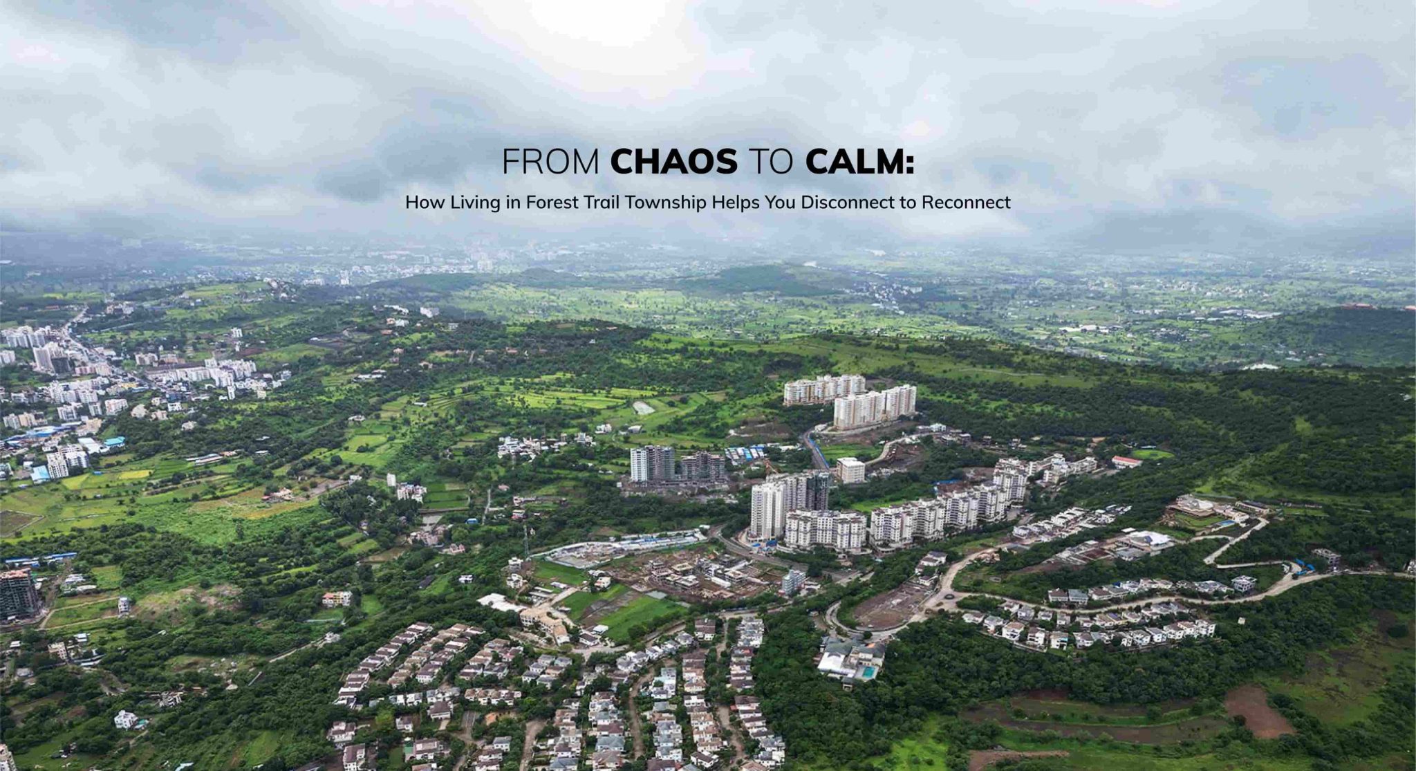 From Chaos to Calm How Living in Forest Trails Helps You Disconnect to Reconnect new